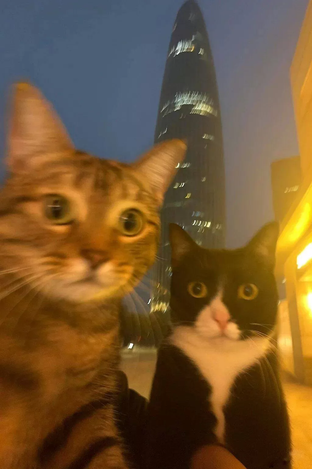 ˵ʵ籬èͷ˶繣